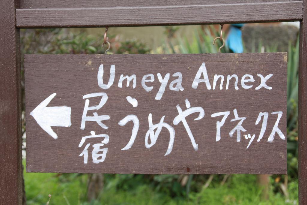 Umeya Annex Vendégház Fudzsikavagucsiko Kültér fotó